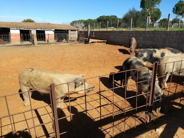 Nature Classroom "La Huerta del Novo"